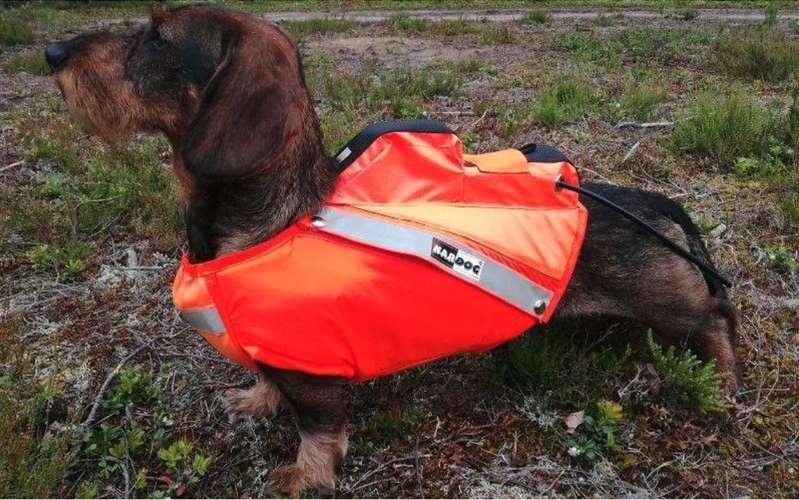 Kardog Saga GPS-vest