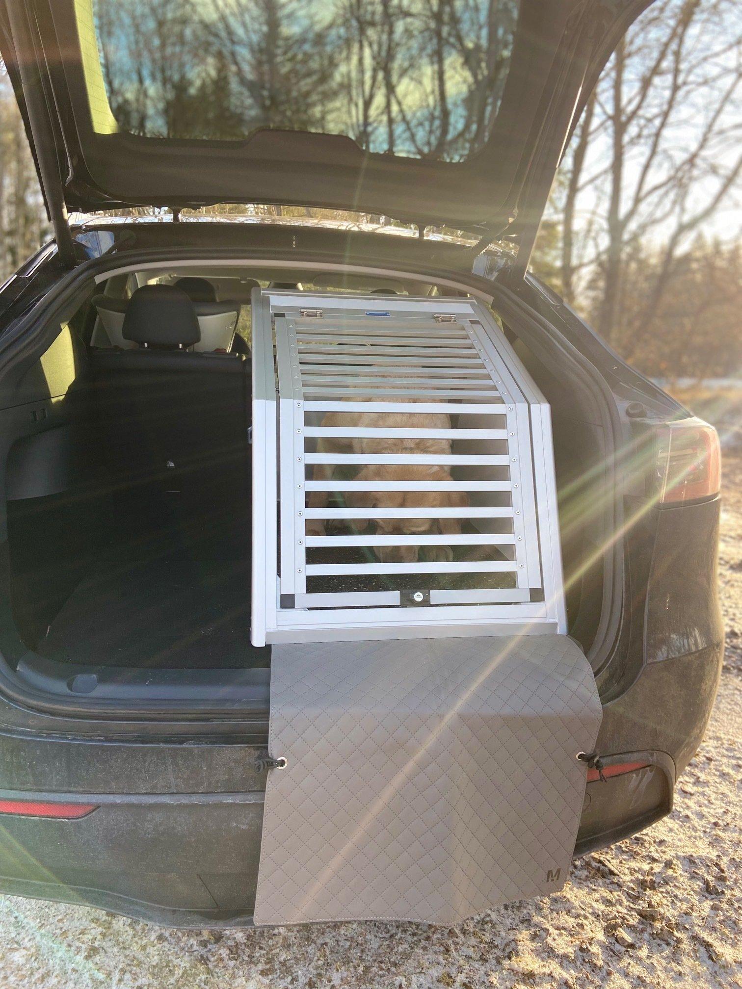 Enkelbur Tesla Model Y