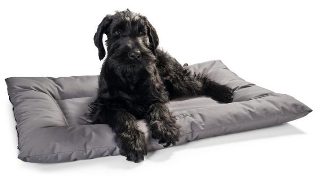Vannavvisende hundedyne